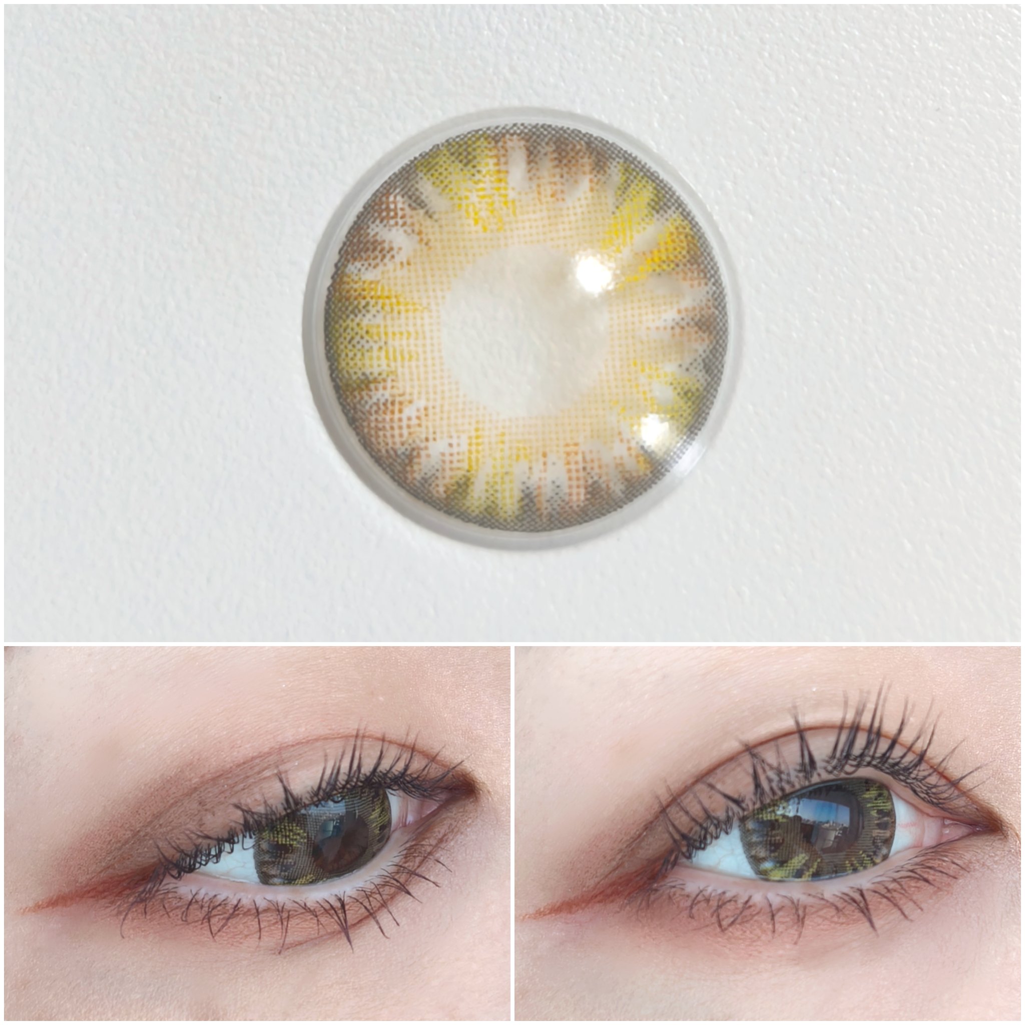 CLARA <BROWN> 6ヶ月