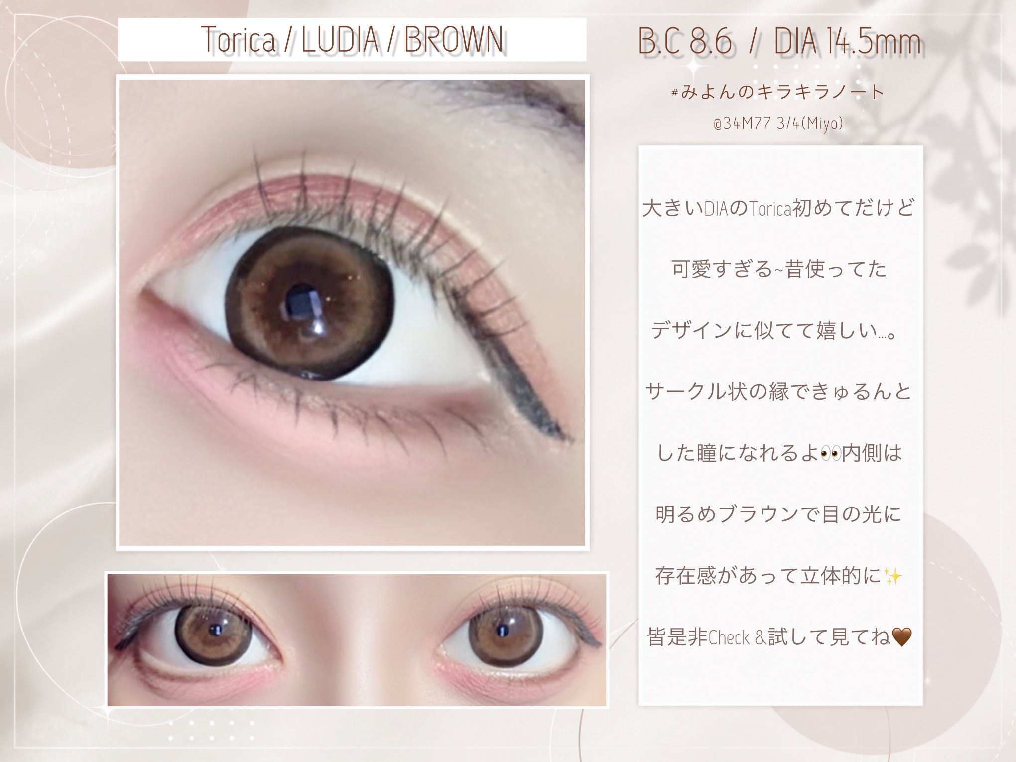 【 Torica / LUDIA 14.5㍉ ブラウン】
